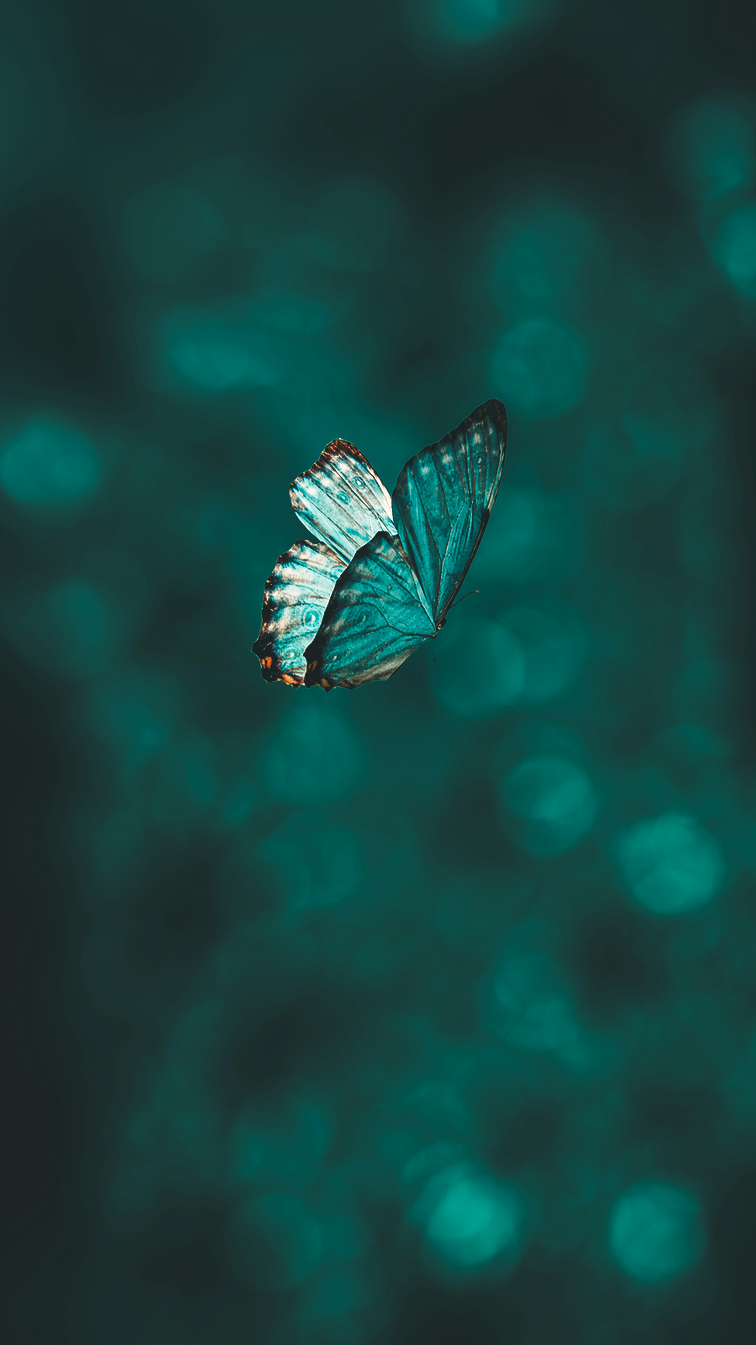 Therapy: From Explanation to Transformation