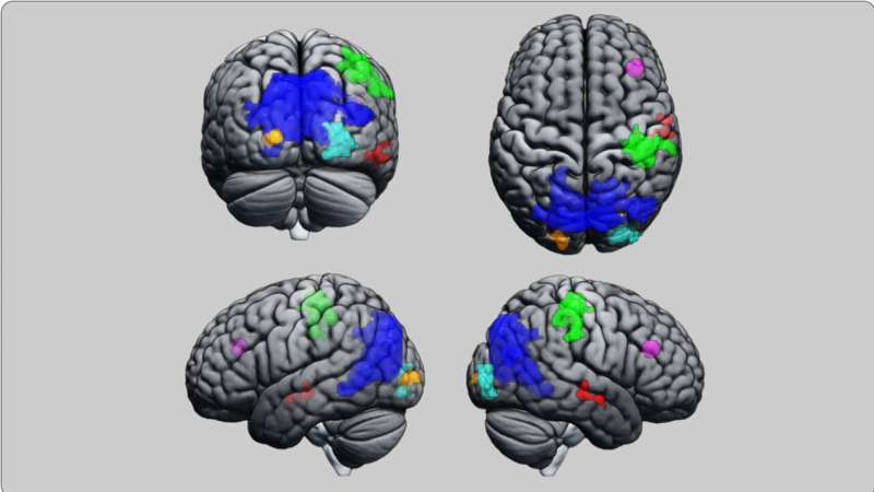 neuroscience of hypnosis